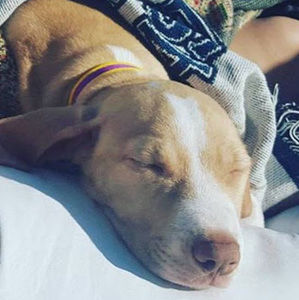 Meet your Posher, Kenzie